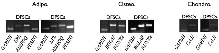 Fig.2