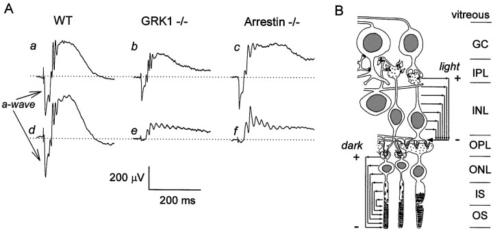 Fig. 3.