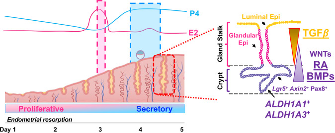 Fig. 8