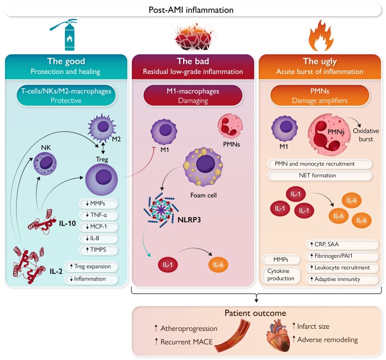 Graphical Abstract