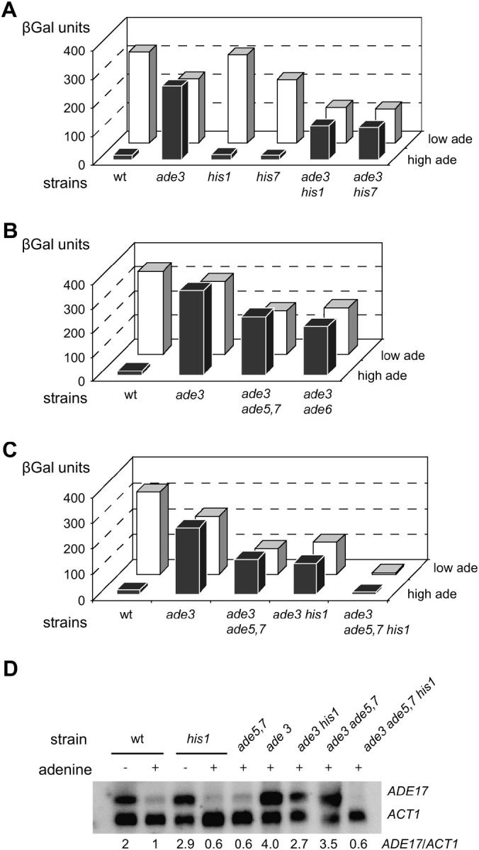 Figure 4.—