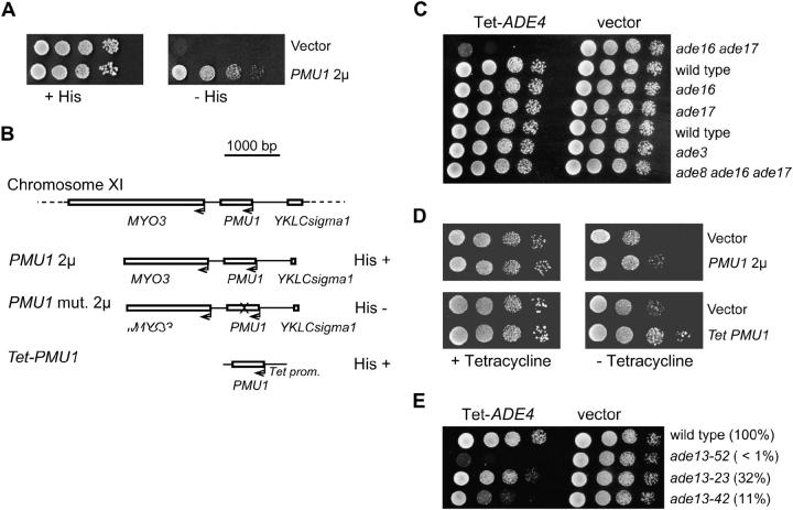 Figure 7.—