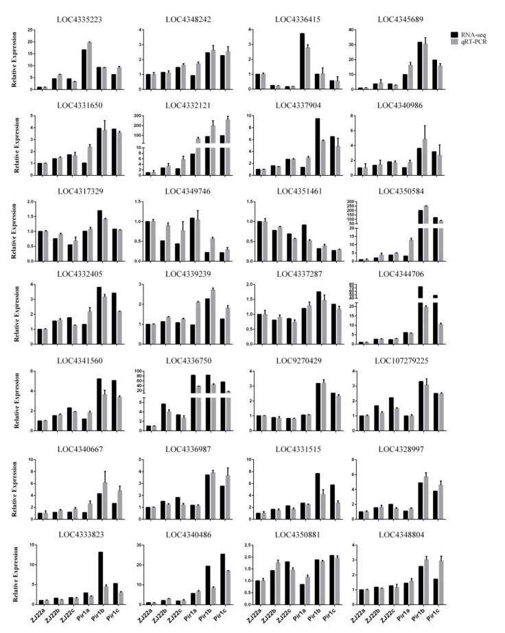 Figure 12