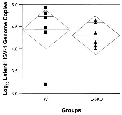 FIG. 6