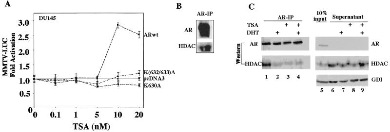 FIG. 5.