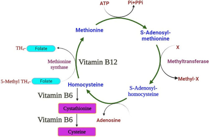 FIGURE 2