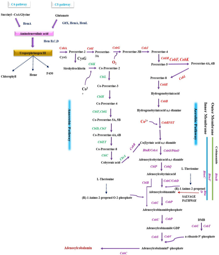 FIGURE 3