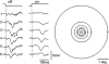 Fig. 10