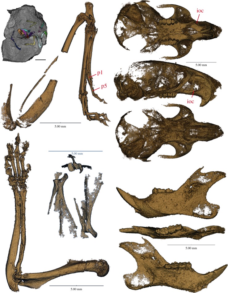 Figure 1.