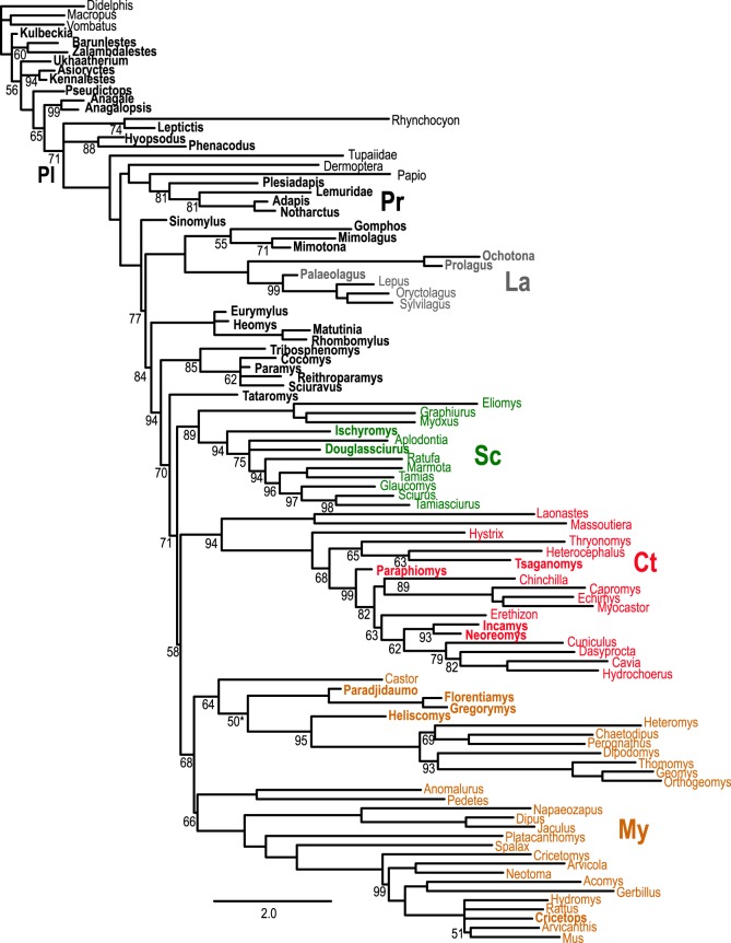 Figure 4.