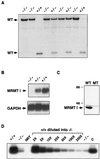 FIG. 8