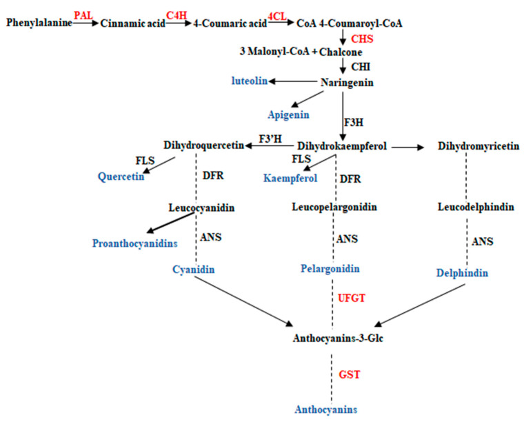 Figure 10