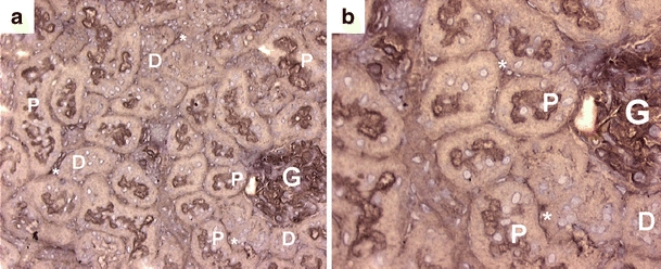 Fig. 7