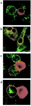 FIG. 6.