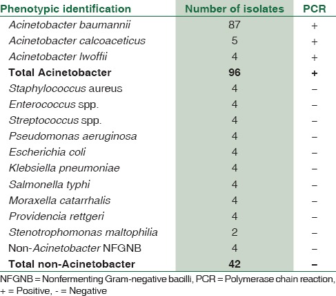 graphic file with name JLP-9-279-g002.jpg