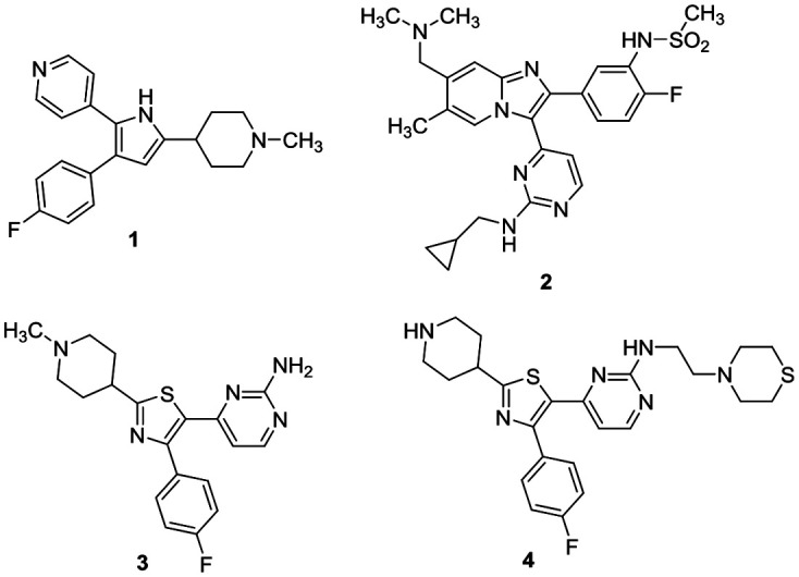 Fig. 1