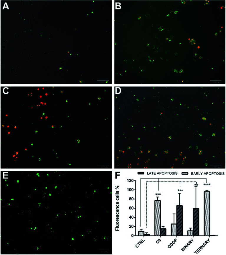 Fig. 10