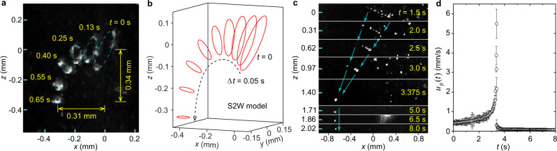 Fig. 3