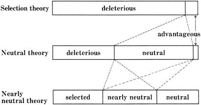 Fig 2.