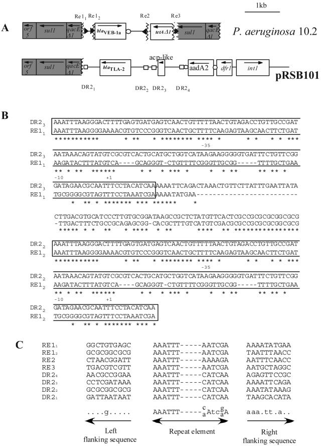 FIG. 2.