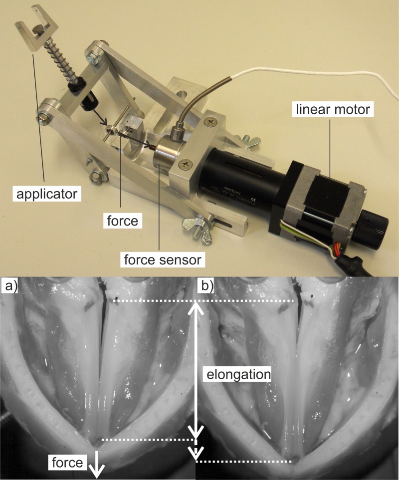 FIG. 4.