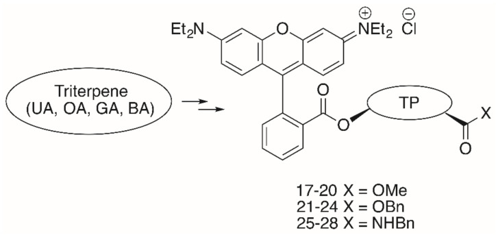 Figure 7