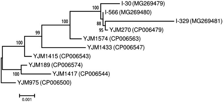 Figure 1.