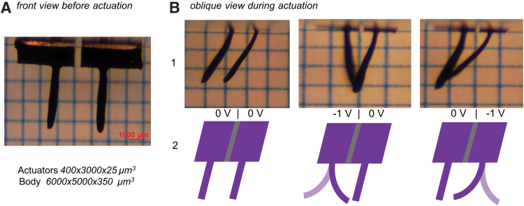 FIG. 8.