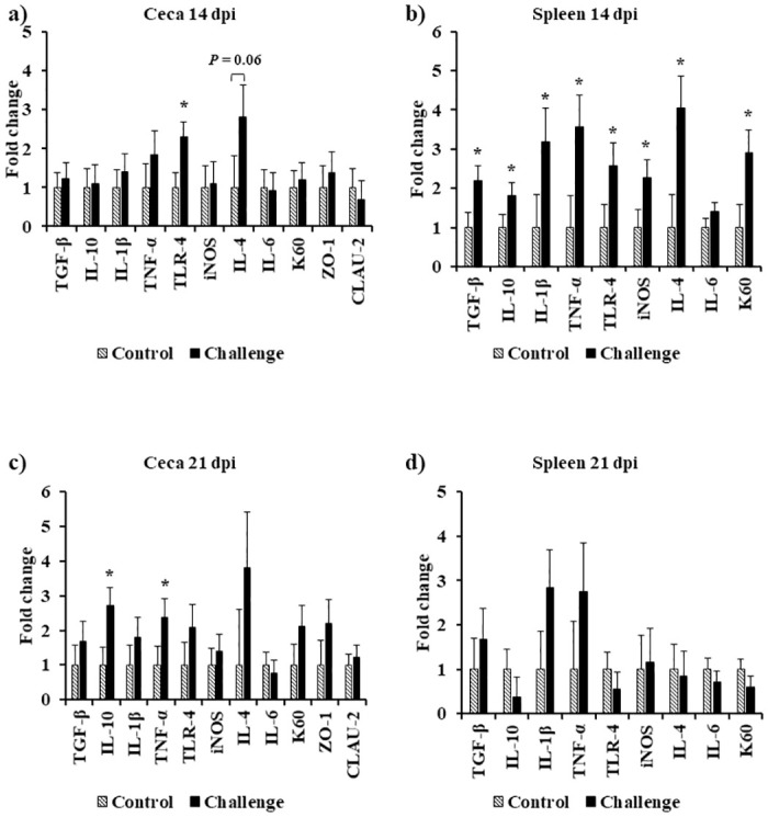 Fig 6