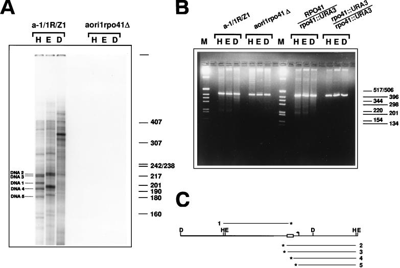 FIG. 5