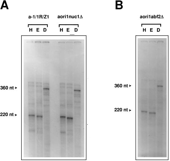 FIG. 6