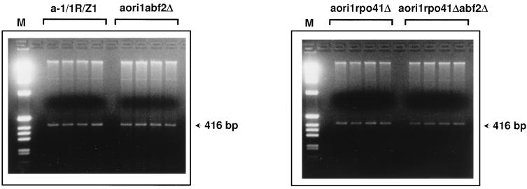 FIG. 7