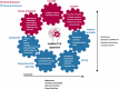 Image of the “Narrative Identity Model” filled in with the various sub-themes emerging from a thematic analysis of the literature on identity changes of people with aphasia.