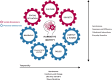 Image of the different dimensions of the “Narrative Identity Model” and how they interact. This model visualizes the personal dimensions (the bottom of the model) and the social dimensions (the top of the model). Narrative identity is symbolized by the head with interconnected gears in the middle of the model and becomes visible at the crossroads of the personal and social dimensions.