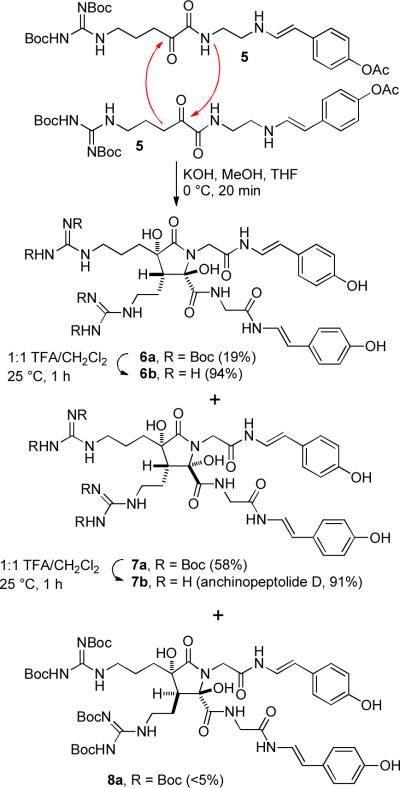 Scheme 1