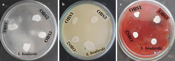 Fig. 3