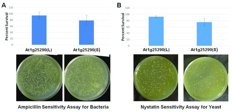 Figure 10. 