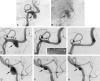 <sc>fig</sc> 3.