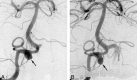 <sc>fig</sc> 2.