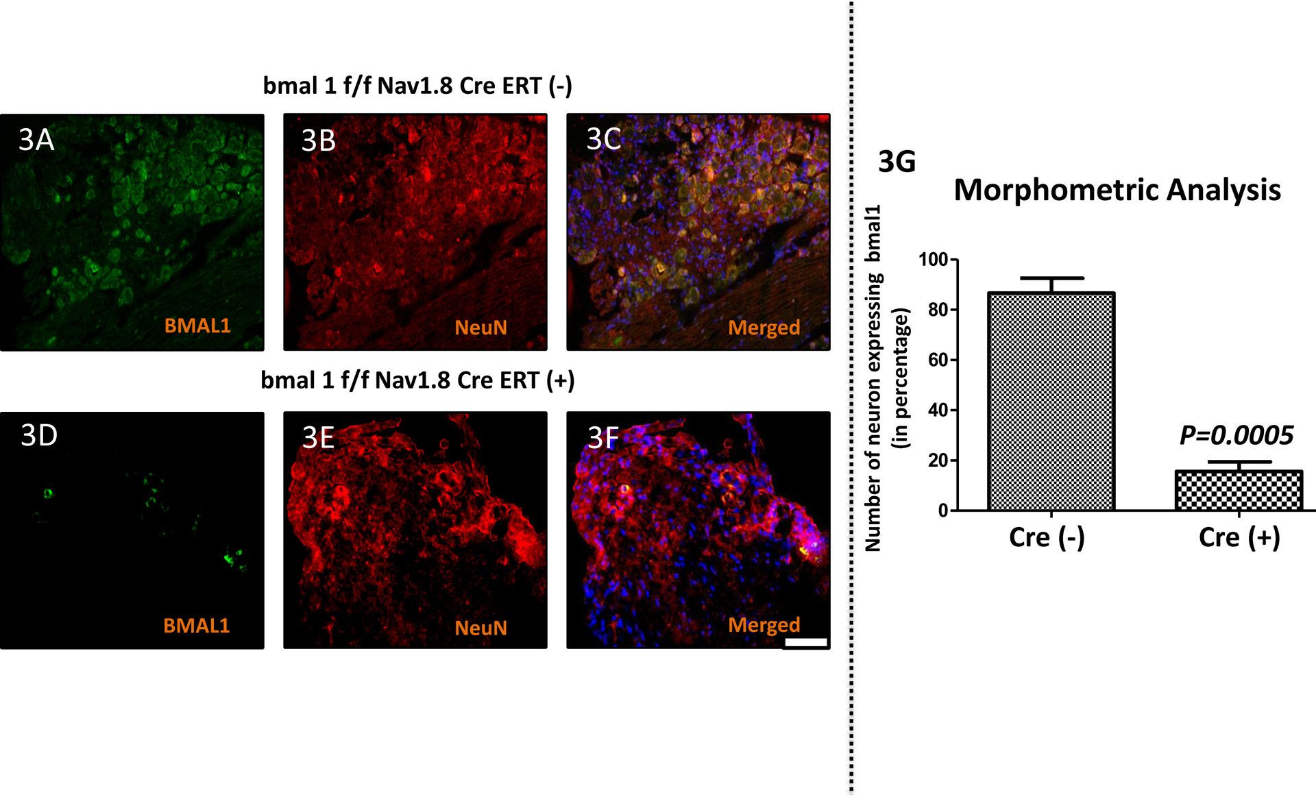 Figure 3: