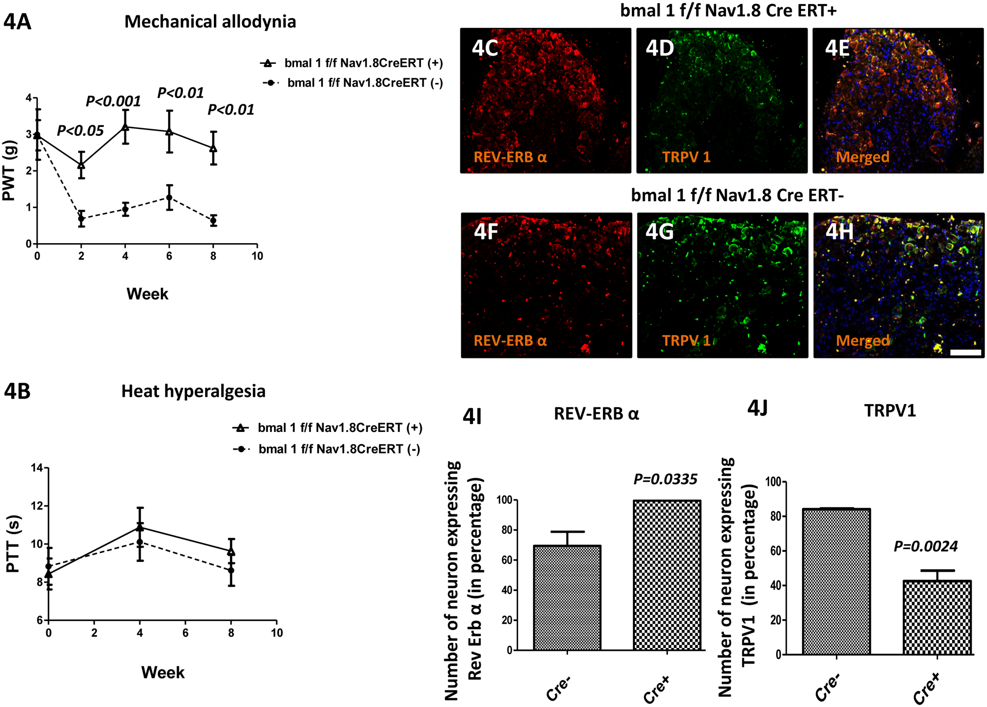 Figure 4: