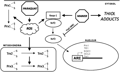 FIG. 7.