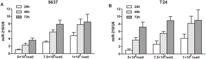 Fig 5