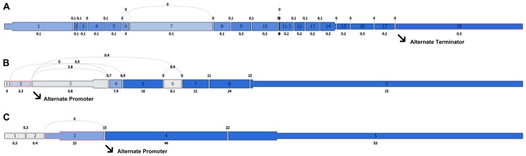 Figure 18