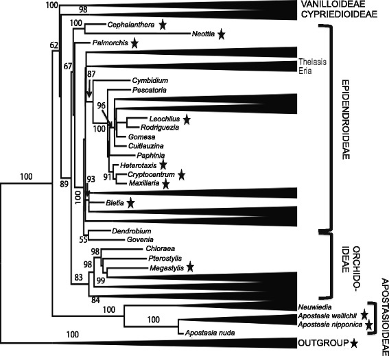 Fig. 6