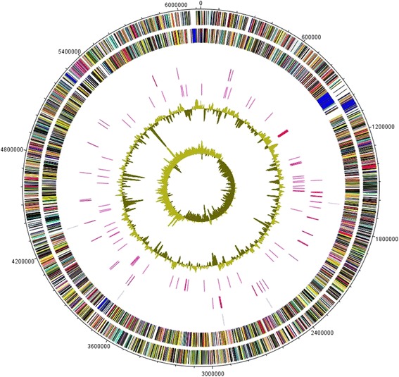 Fig. 3