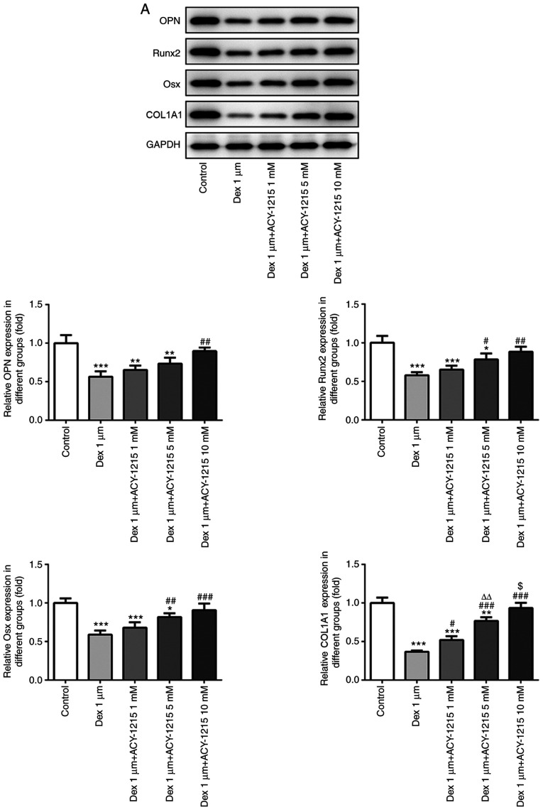 Figure 6.