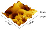 graphic file with name polymers-15-03381-i005.jpg