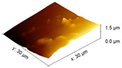 graphic file with name polymers-15-03381-i002.jpg