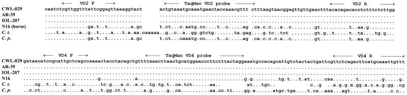 FIG. 1.